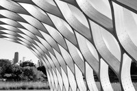 Curvaceous Wood Pavilion by Studio Gang Architects - Lincoln Park Zoo ~Chicago, IL