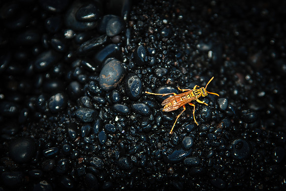 Black Sand Beach, ~Hana, Maui, HI