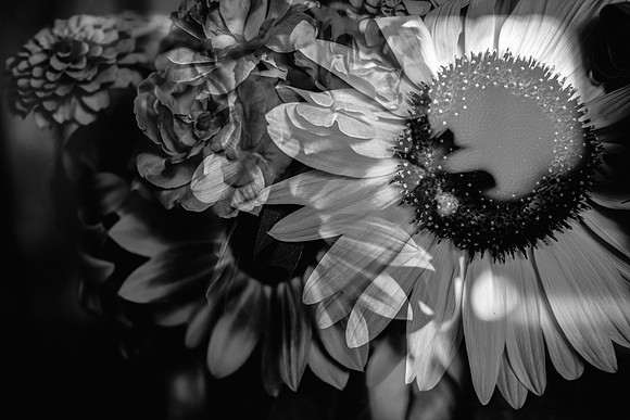 Floral Arrangement - BW Double Exposure