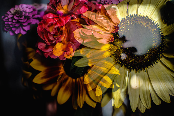 Floral Arrangement - Color Double Exposure