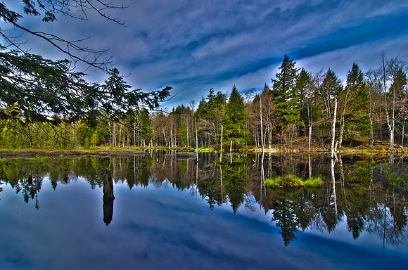 Reflection Wetland ~Baraga, MI