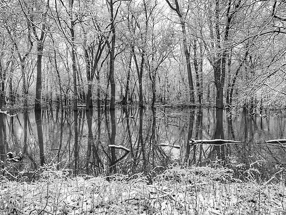 Reflections by the River ~Willow Springs, IL