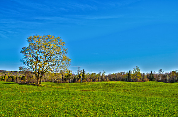 Open Field ~Baraga, MI