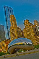 The Bean - Millennium Park ~Chicago, IL