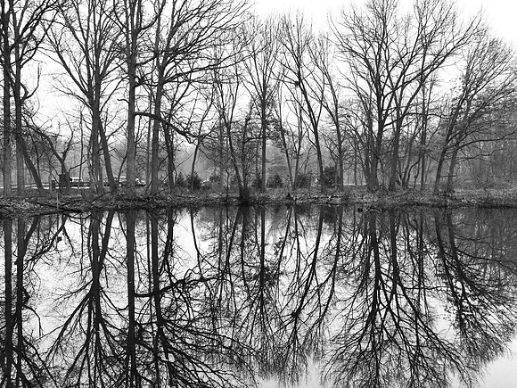 Reflections ~Willow Springs, IL