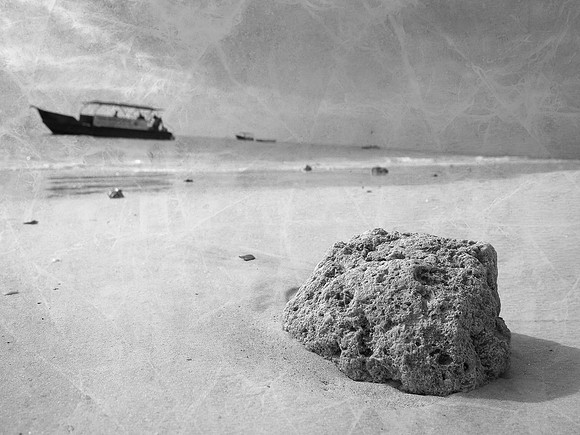 Coral Formation ~Mombasa