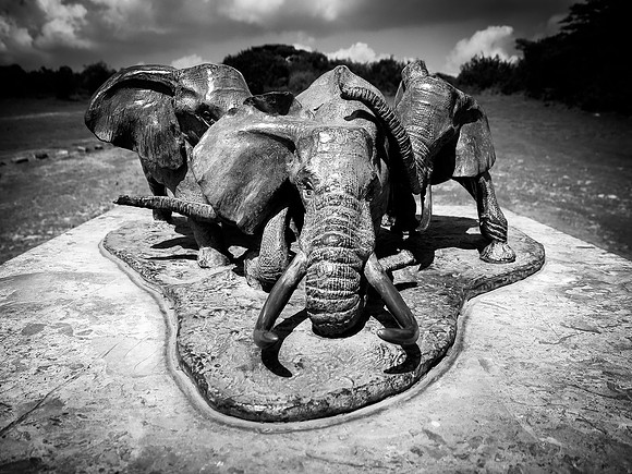 Anti-poaching Memorial ~Nairobi National Park