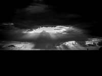 Sun Rays over the Mara ~Maasai Mara
