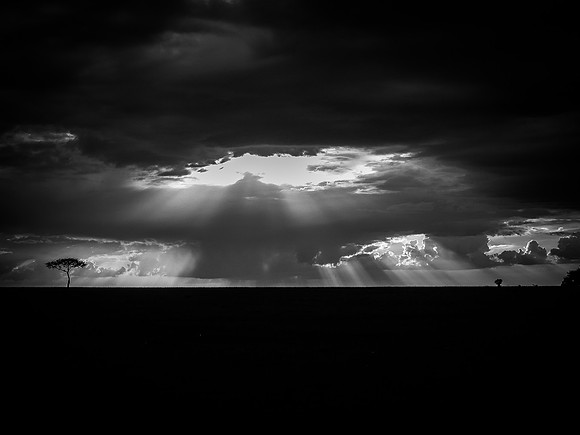 Sun Rays over the Mara ~Maasai Mara